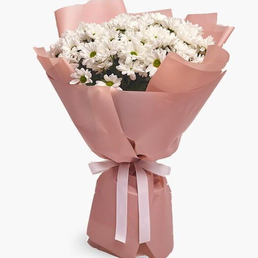Pembe Ambalaj Kağıdında Beyaz Papatya Buketi