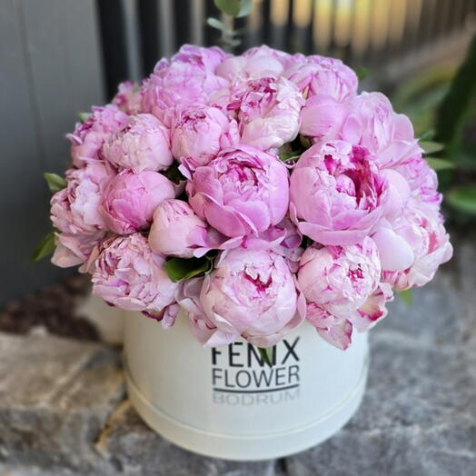 Kutulu çiçekler box