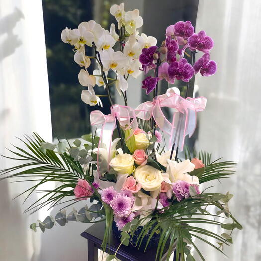 Orkide aranjmanı