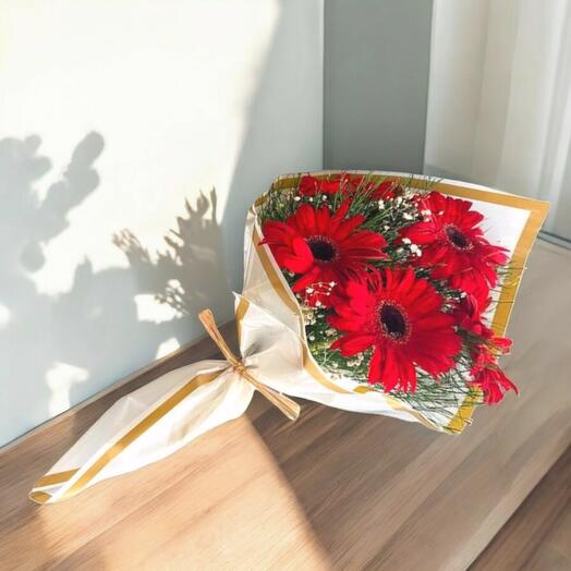 Red Gerbera Bouquet (5 pieces)
