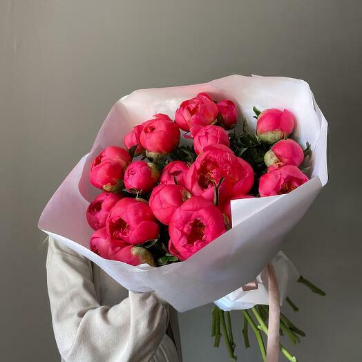 Mercan Şakayıkları