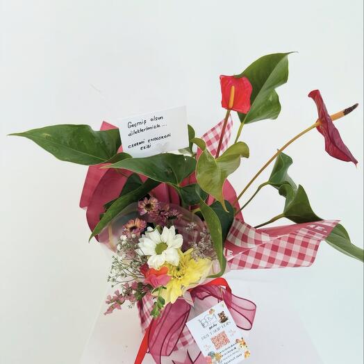 Anthurium