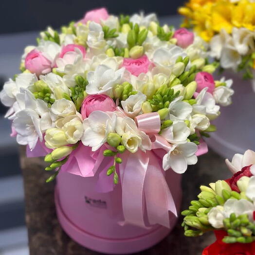 Beyaz Frezya   Pembe Ranunkulus Çiçek Kutusu