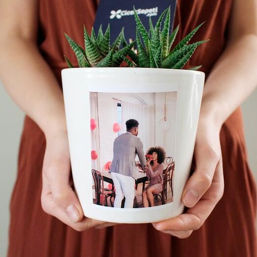 Kişiye Özel Fotoğraflı Seramik Vazoda Sukulent bahçe Aranjmanı