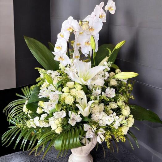 Beyaz Orkide ve Kazablanka Çiçek Aranjmanı