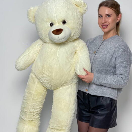 Teddy ayı 130cm