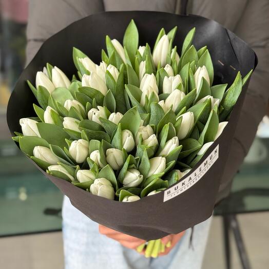 51 white Tulip