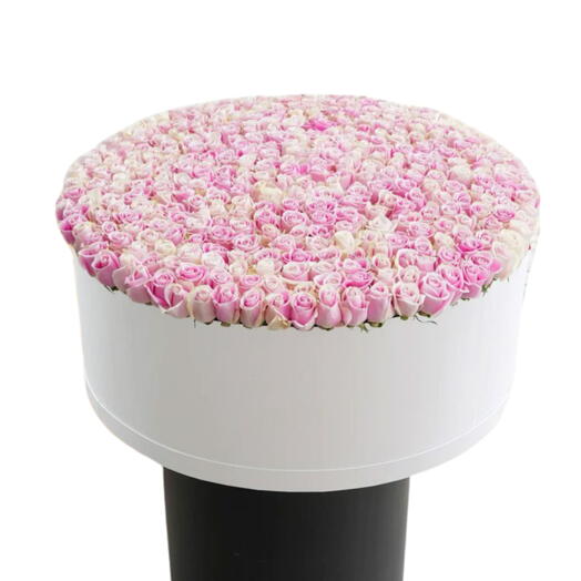 501 Pink roses luxury