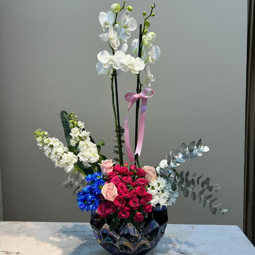 Beyaz Ozel saksida orkide