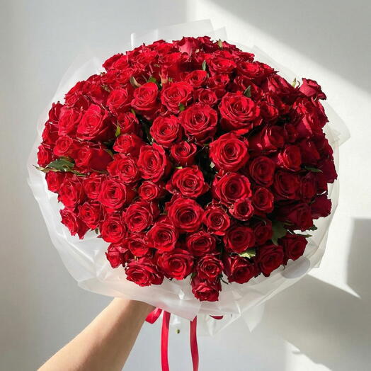 Rosaceae - Rosa - gul 101