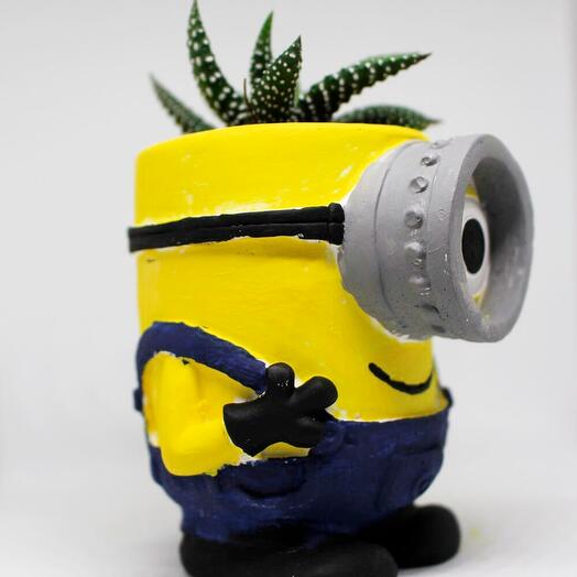 Minion Saksı Özel Dekoratif Kaktus + Canlı Sukulent Bitki