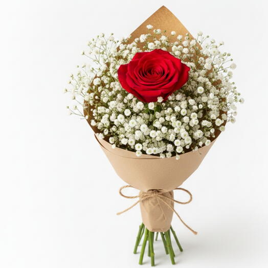 Cipso bulutunda tek kırmızı gul