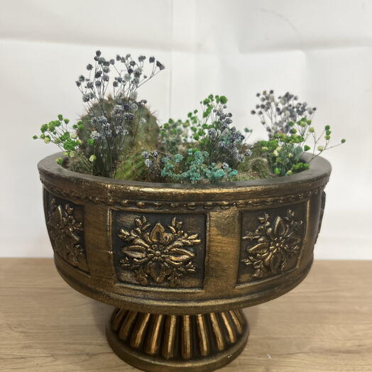 Klasik tarz kaktus bahçesi