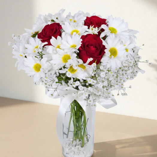 Kırmızı Gul ve Papatyalar