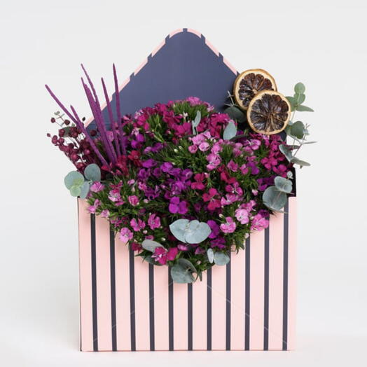 Renkli Mektup Kutuda Rengarenk Husnuyusuflar