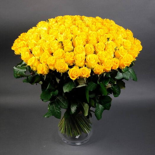 101 yellow rose