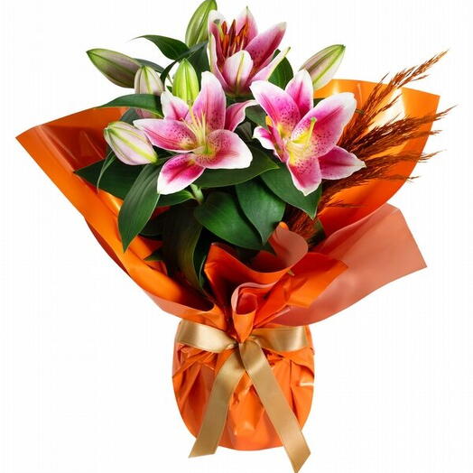 Pink potted lily in orange bouquet paper