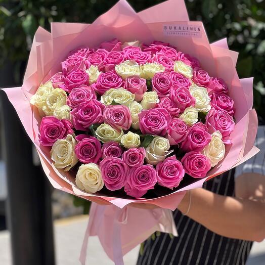 55 pink   white rose