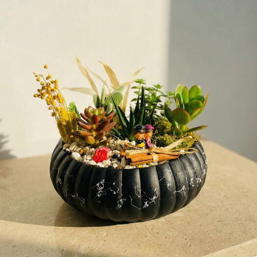 Karışık Sukulent ve Minyatur Bahçe Aranjmanı