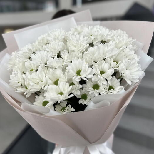 Papatyanın saflığı