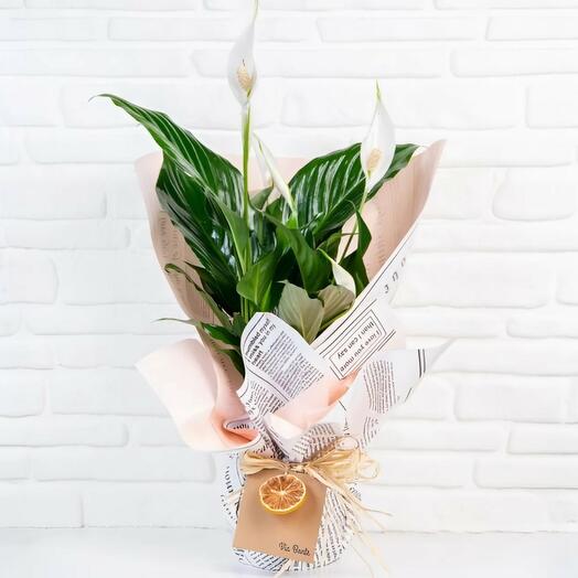 Peace Flower