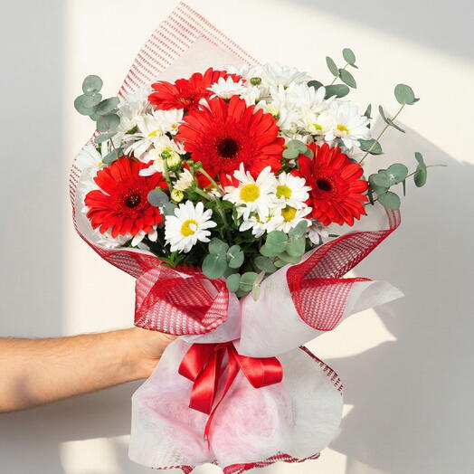 Kırmızı Gerbera ve Papatya Buketi