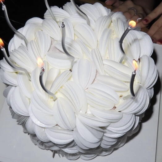 Beyaz Ruya Bento Pasta