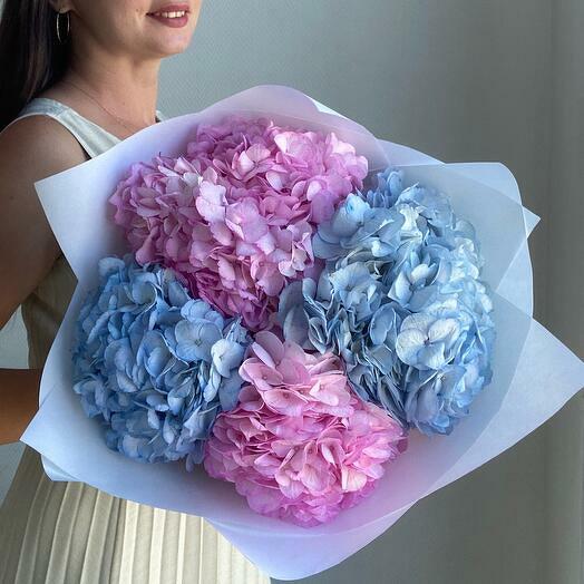 Çok renkli ortancalar