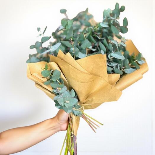 Kokulu Okaliptus Buketi