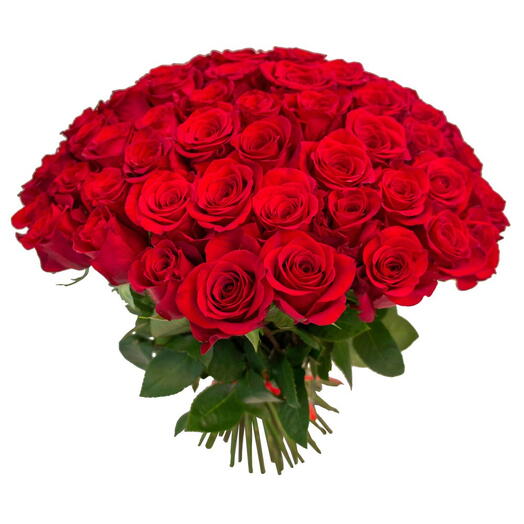 71 Red Roses
