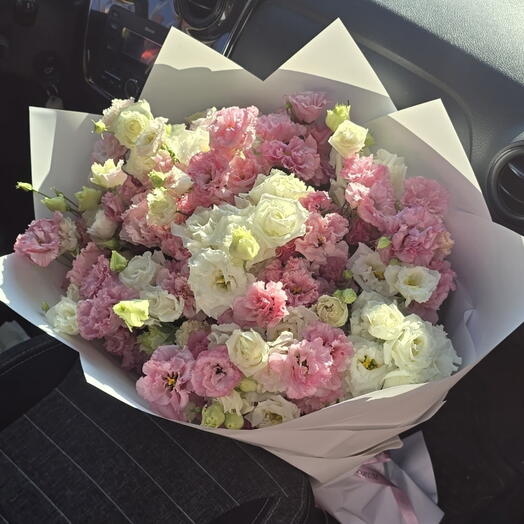 Eustoma karışımı