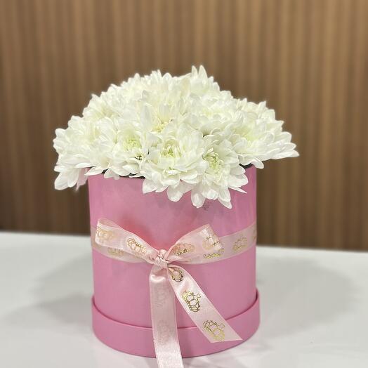 Kutu içinde krizantemler