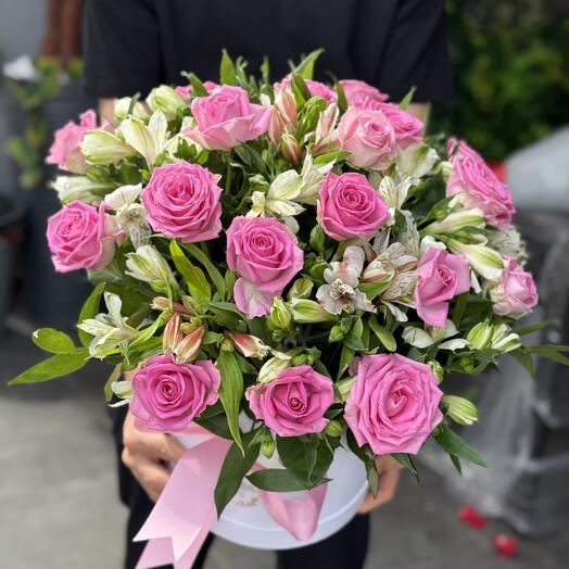 Love of pink astomeri