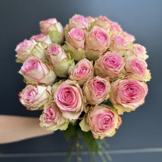 Esperanze nin Gulu (Esperance)