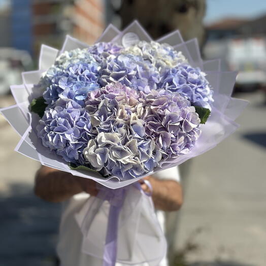 İthal Ortanca Buketi