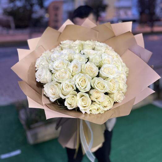 41 White Rose