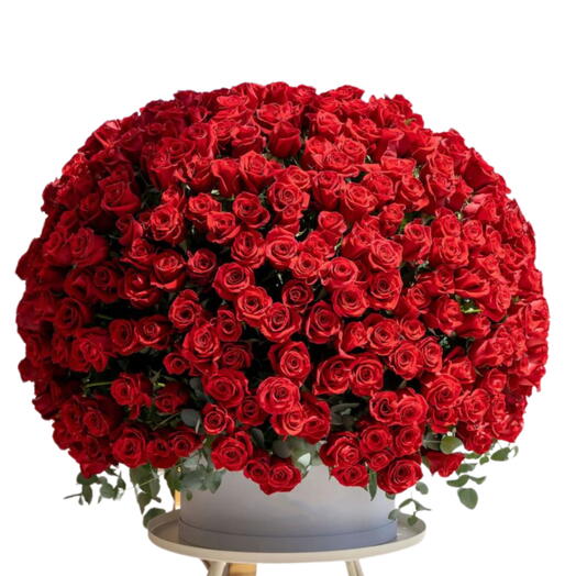 501 red roses box