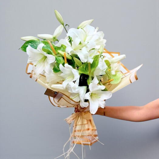 Lily Green Anthurium