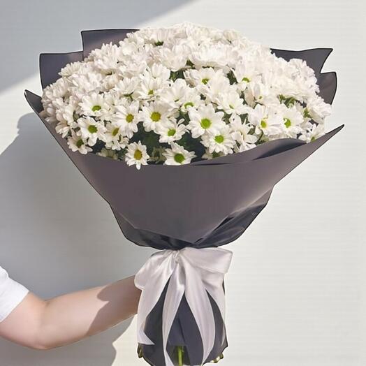 Buyuk Papatya Buketi