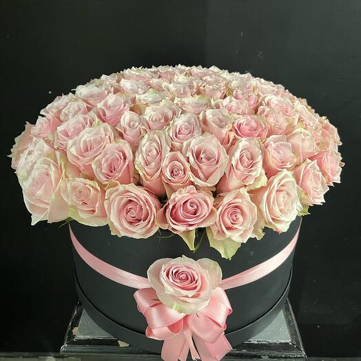 101 Pink Roses in box