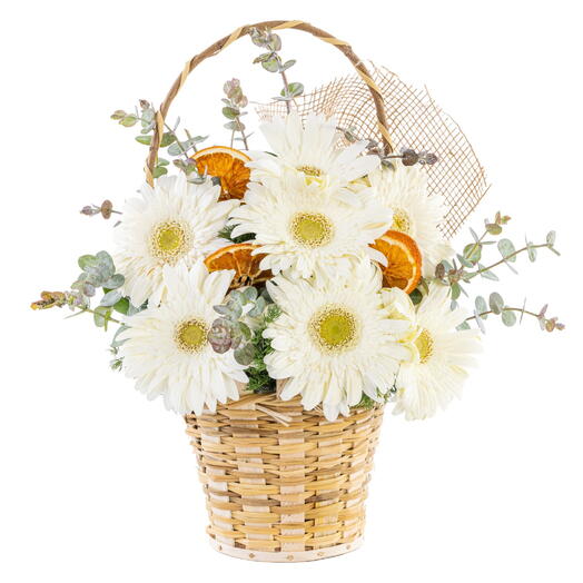 Gerbera with basket