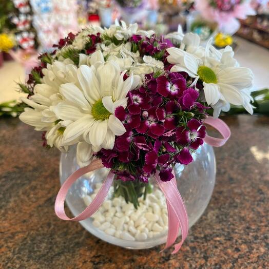 Cam Fanusta Husnu Yusuf Papatya Aranjmanı