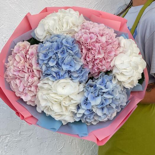 Karışık Hortensia