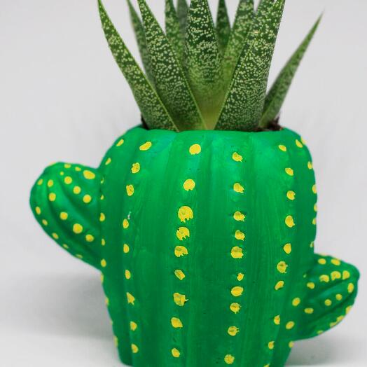 Kaktus Figurlu Saksı + canlı Sukulent Bitkili