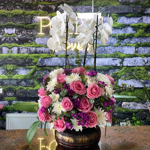 Saksıda Orkide Aranjmanı