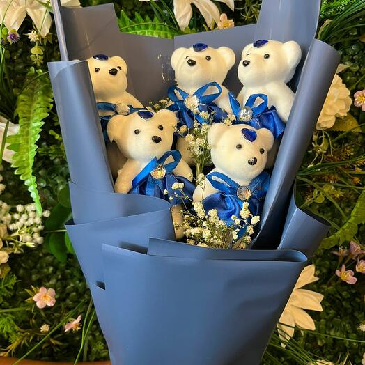 ORTA BOY CİPSOLU ORTA BOY AYICIK BUKETİ