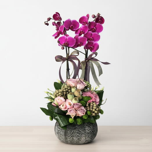 Mor orkideli luks arajman