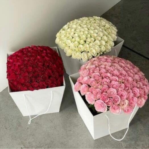 303 roses