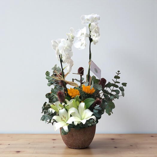 Beyaz Orkide, Lilyum ve Ayçiçeği Aranjmanı