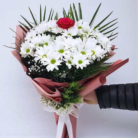 PAPATYALAR İÇİNDE TEK GÜL